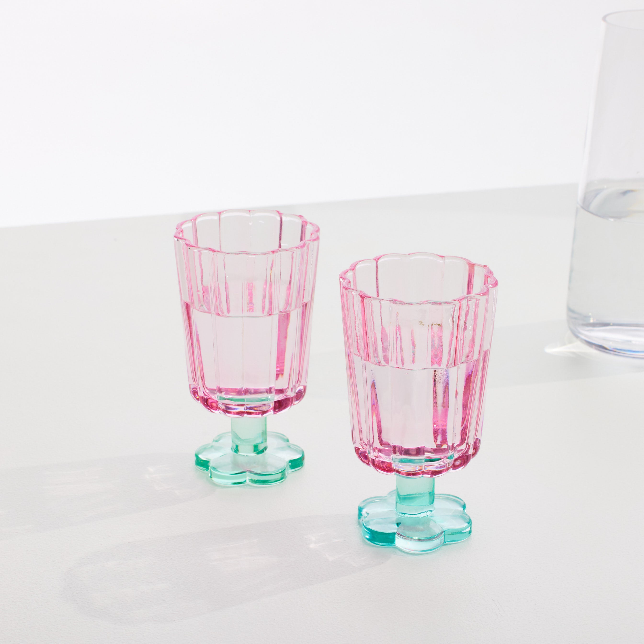 The Petal Collection Bundle petal collection Fast Bundle